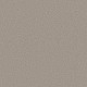 HARMONIOUS I - Fossil Path 00108