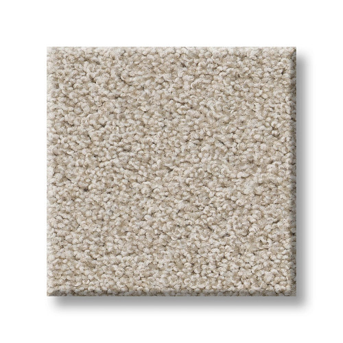 HARMONIOUS I - Champagne Toast 00153