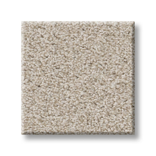 HARMONIOUS I - Champagne Toast 00153