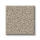 HARMONIOUS II - Fossil Path 00108 HARMONIOUS II - Fossil Path 00108