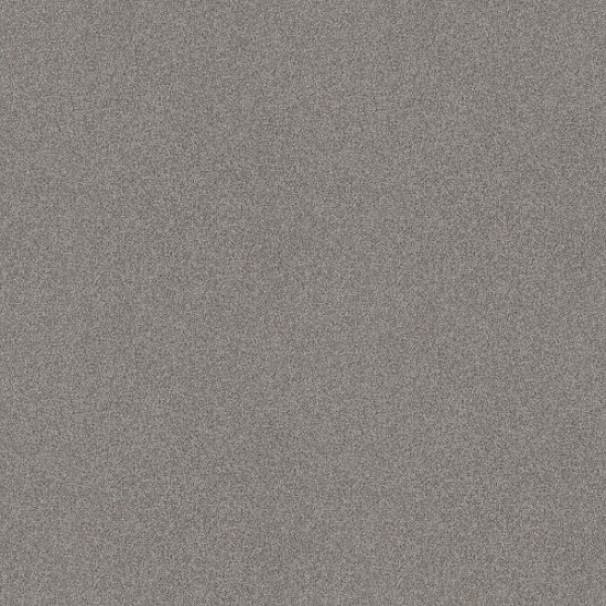 HARMONIOUS II - Grey Fox 00504 HARMONIOUS II - Grey Fox 00504