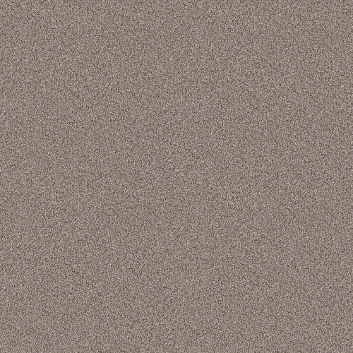 INFLUENCER - Chestnut 00108