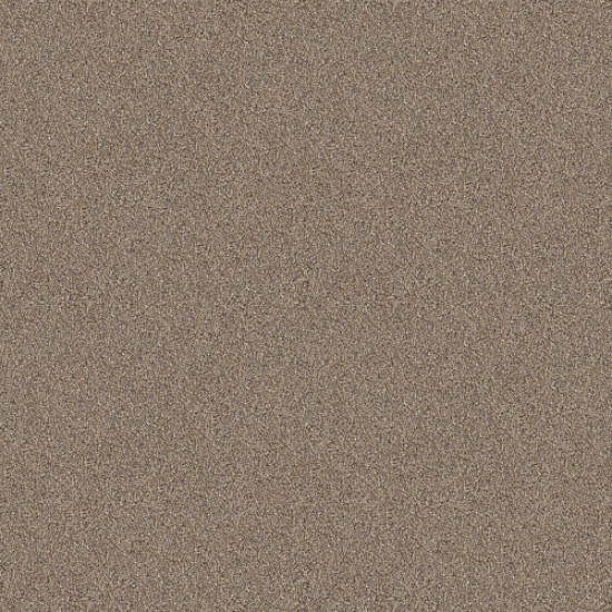 INFLUENCER - Raw Wood 00200
