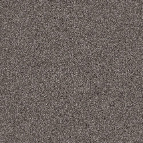 INFLUENCER - Desert View 00503