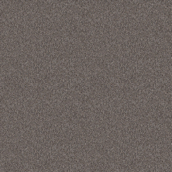INFLUENCER - Desert View 00503