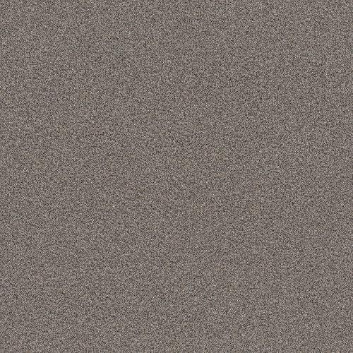 INFLUENCER - Fossil Path 00116