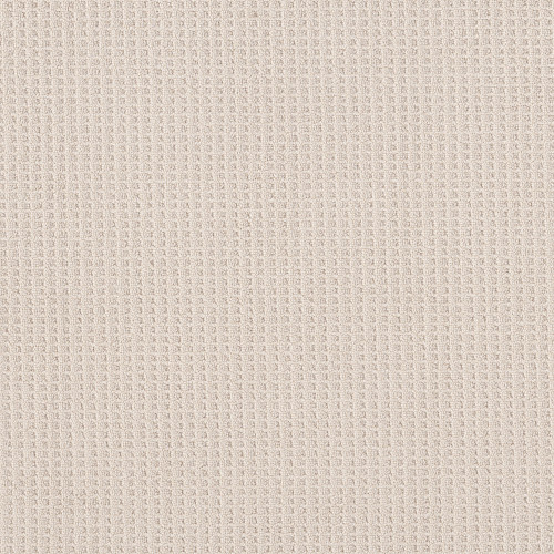 FAINT INTENT - Champagne Toast 00153
