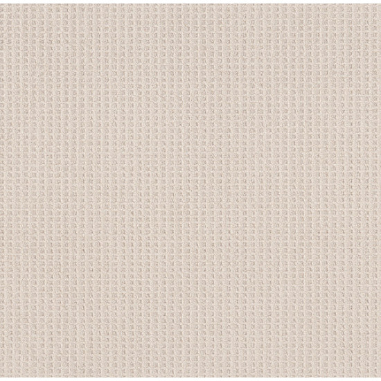 FAINT INTENT - Champagne Toast 00153