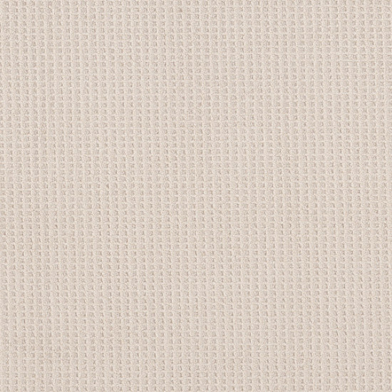 FAINT INTENT - Champagne Toast 00153