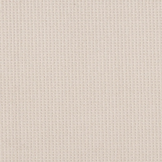 FAINT INTENT - Champagne Toast 00153