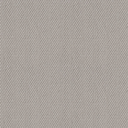 FAINT INTENT - Silver Lining 00500