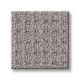 FAINT INTENT - Grey Fox 00504