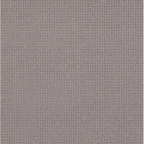 FAINT INTENT - Grey Fox 00504