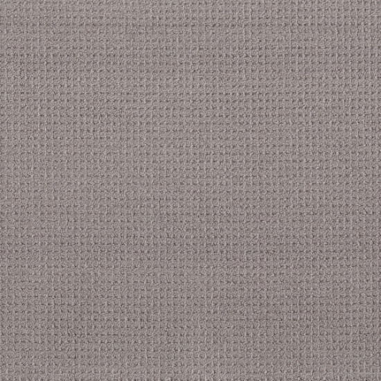 FAINT INTENT - Grey Fox 00504