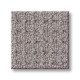 FAINT INTENT - Grey Fox 00504