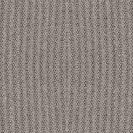 FAINT INTENT - Grey Fox 00504