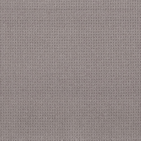 FAINT INTENT - Grey Fox 00504