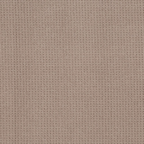 FAINT INTENT - Raw Wood 00720