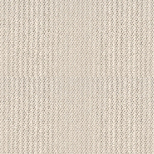 NATURALISTIC - Champagne Toast 00153