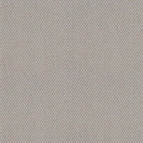 NATURALISTIC - Silver Lining 00500