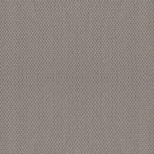 NATURALISTIC - Grey Fox 00504