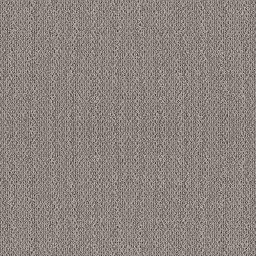 NATURALISTIC - Grey Fox 00504