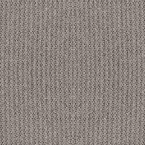 NATURALISTIC - Grey Fox 00504 NATURALISTIC - Grey Fox 00504