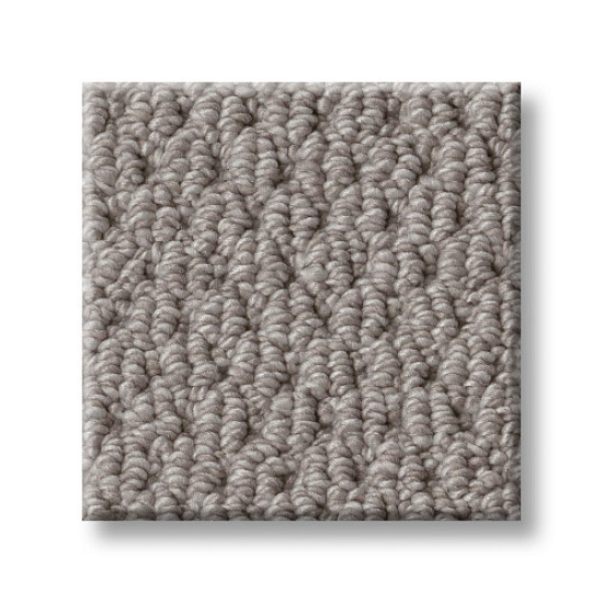 NATURALISTIC - Grey Fox 00504 NATURALISTIC - Grey Fox 00504