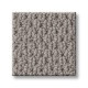 NATURALISTIC - Grey Fox 00504 NATURALISTIC - Grey Fox 00504