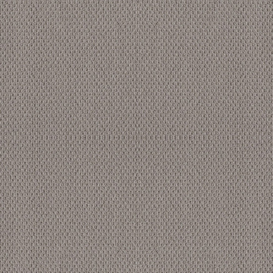 NATURALISTIC - Grey Fox 00504 NATURALISTIC - Grey Fox 00504