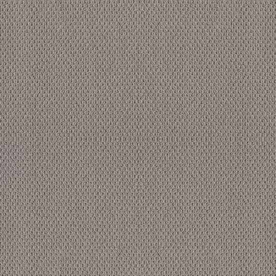NATURALISTIC - Grey Fox 00504 NATURALISTIC - Grey Fox 00504