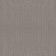 NATURALISTIC - Grey Fox 00504 NATURALISTIC - Grey Fox 00504