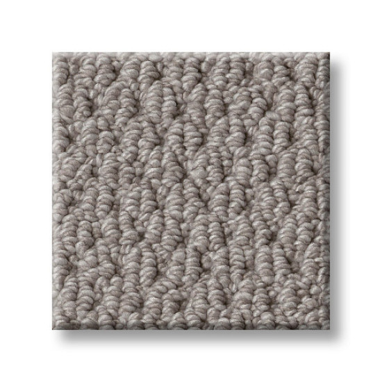 NATURALISTIC - Grey Fox 00504 NATURALISTIC - Grey Fox 00504