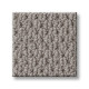 NATURALISTIC - Grey Fox 00504 NATURALISTIC - Grey Fox 00504