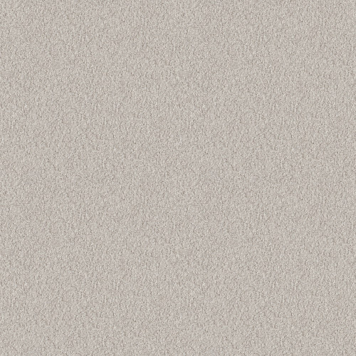 ALLURING CANVAS - Winters Dawn 00102