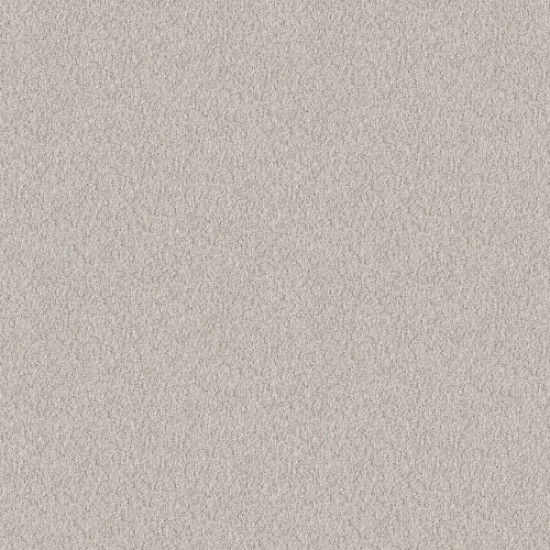 ALLURING CANVAS - Winters Dawn 00102
