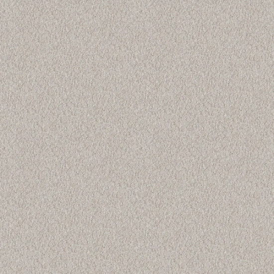 ALLURING CANVAS - Winters Dawn 00102