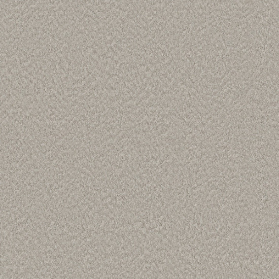 ALLURING CANVAS - Split Sediment 00104