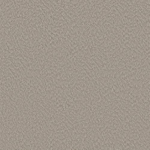 ALLURING CANVAS - Fossil Path 00108