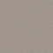 ALLURING CANVAS - Fossil Path 00108