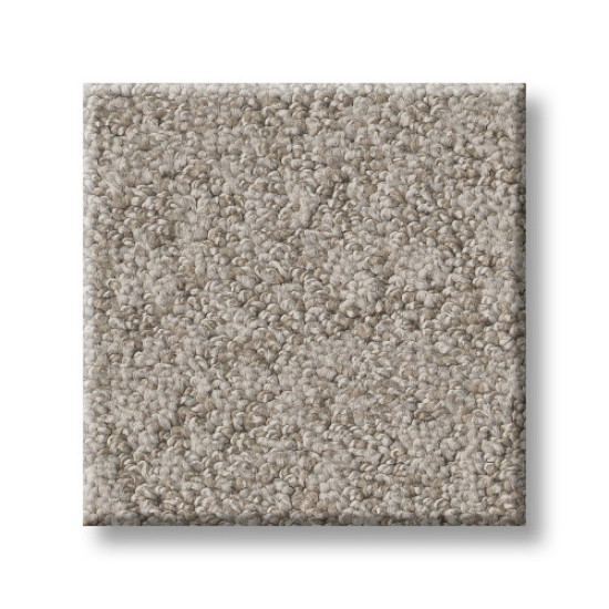 ALLURING CANVAS - Fossil Path 00108 ALLURING CANVAS - Fossil Path 00108