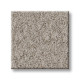 ALLURING CANVAS - Fossil Path 00108