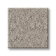 ALLURING CANVAS - Fossil Path 00108 ALLURING CANVAS - Fossil Path 00108