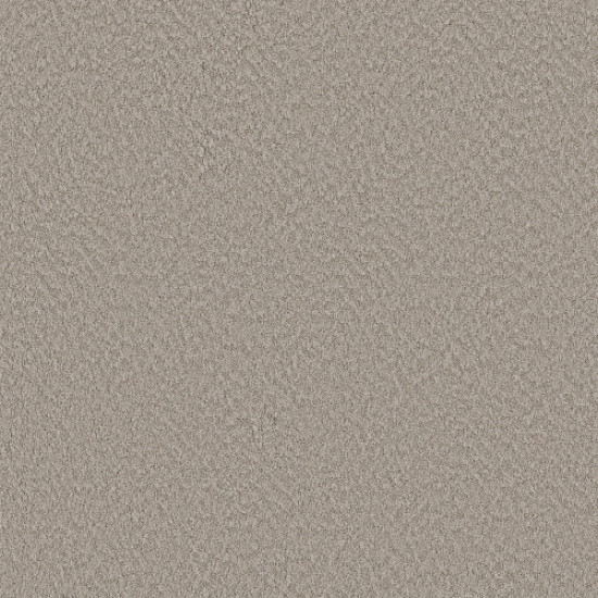 ALLURING CANVAS - Fossil Path 00108