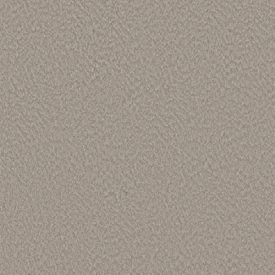ALLURING CANVAS - Fossil Path 00108 ALLURING CANVAS - Fossil Path 00108