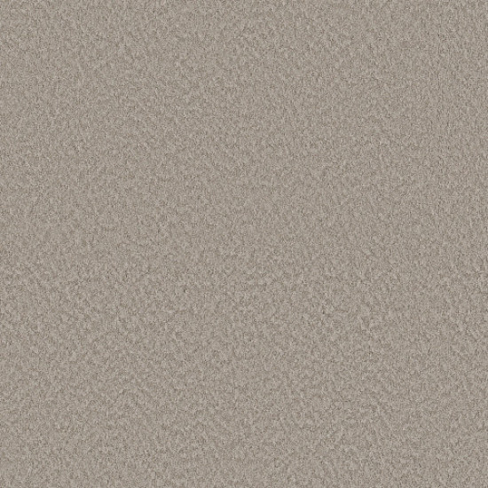 ALLURING CANVAS - Fossil Path 00108 ALLURING CANVAS - Fossil Path 00108