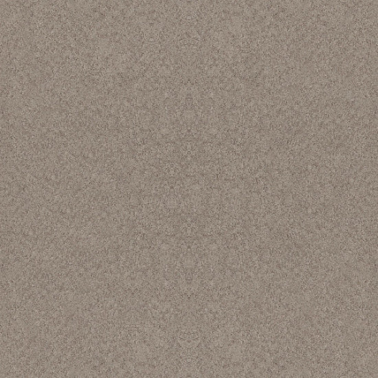 ALLURING CANVAS - Fossil Path 00108 ALLURING CANVAS - Fossil Path 00108