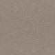 ALLURING CANVAS - Fossil Path 00108 ALLURING CANVAS - Fossil Path 00108