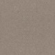 ALLURING CANVAS - Fossil Path 00108 ALLURING CANVAS - Fossil Path 00108