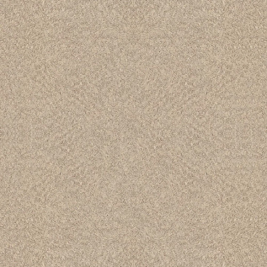 ALLURING CANVAS - Sun Kissed 00110